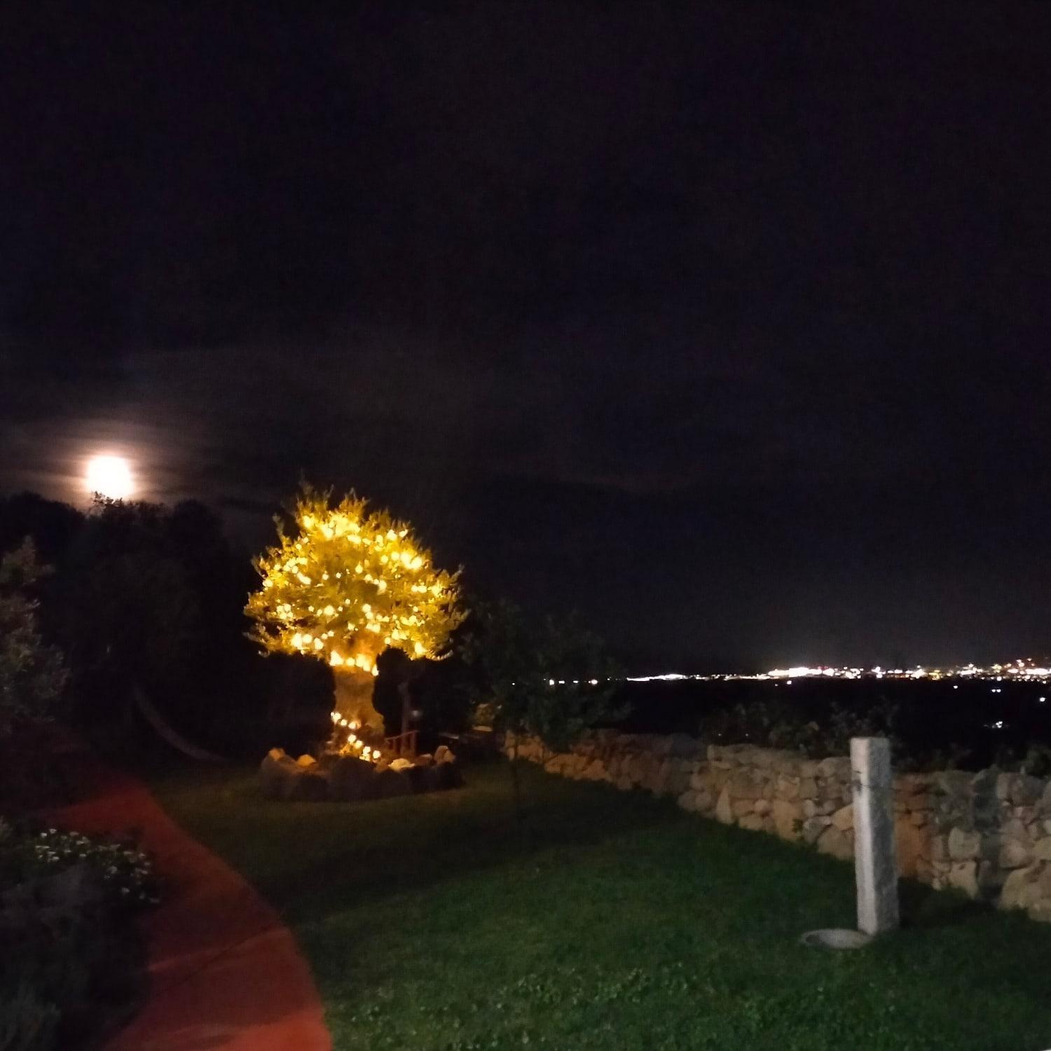 B&B Bellavista Sole Ruiu Zewnętrze zdjęcie